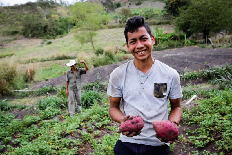 Honduran boy holding fruit in a garden