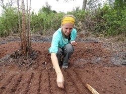 Laura planting